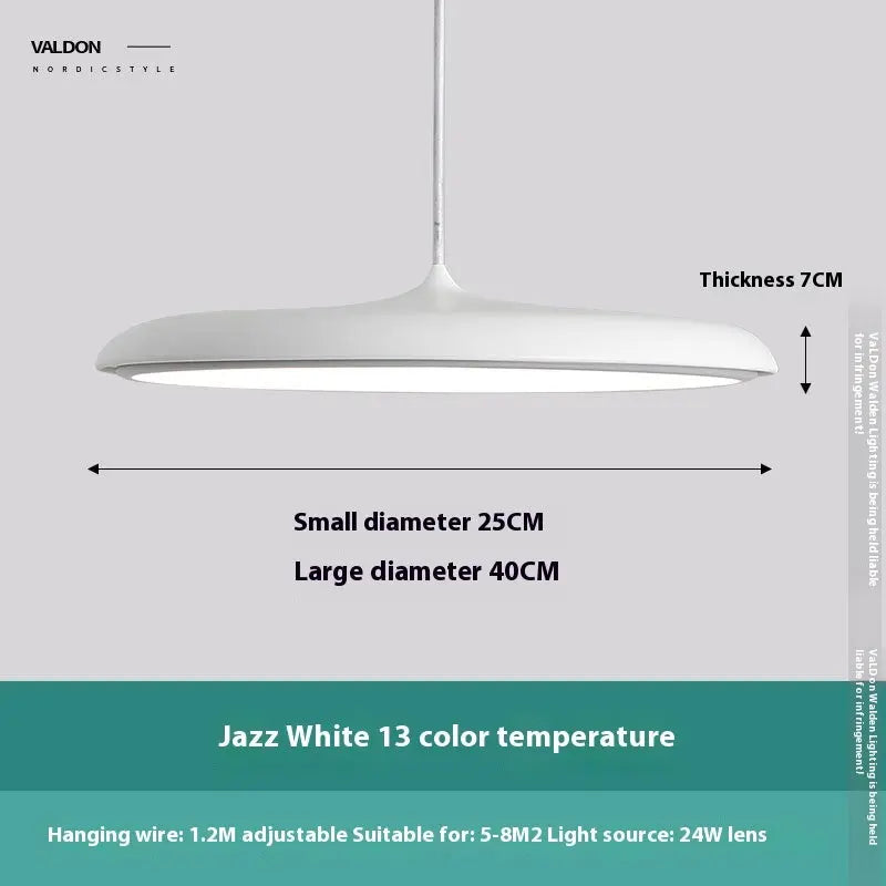 Nordic Modern Simple LED Chandelier Restaurant Chandelier Designer Chandelier