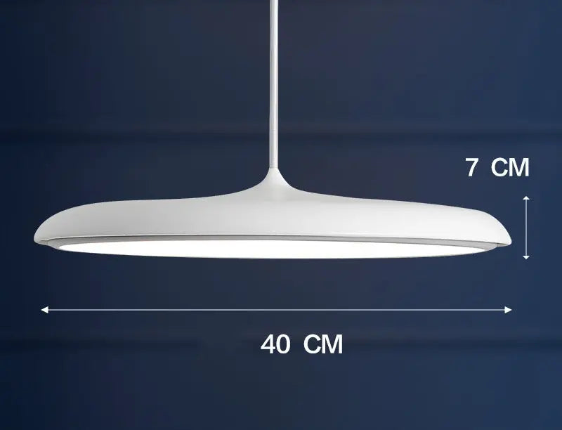 Nordic Modern Simple LED Chandelier Restaurant Chandelier Designer Chandelier