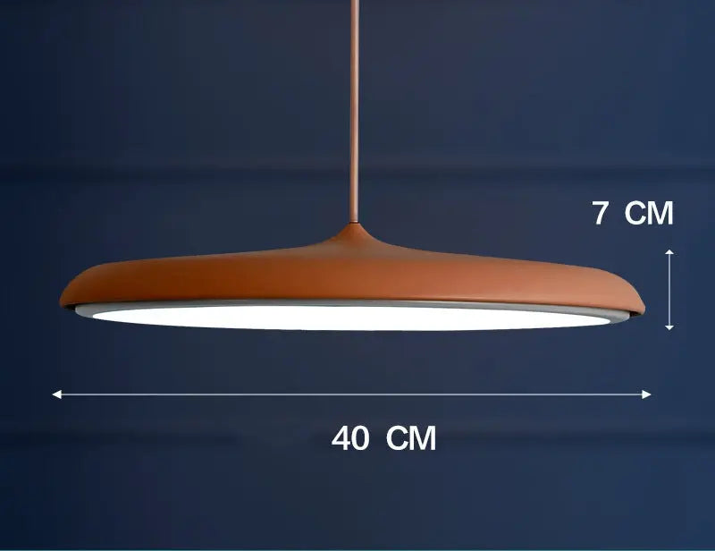 Nordic Modern Simple LED Chandelier Restaurant Chandelier Designer Chandelier